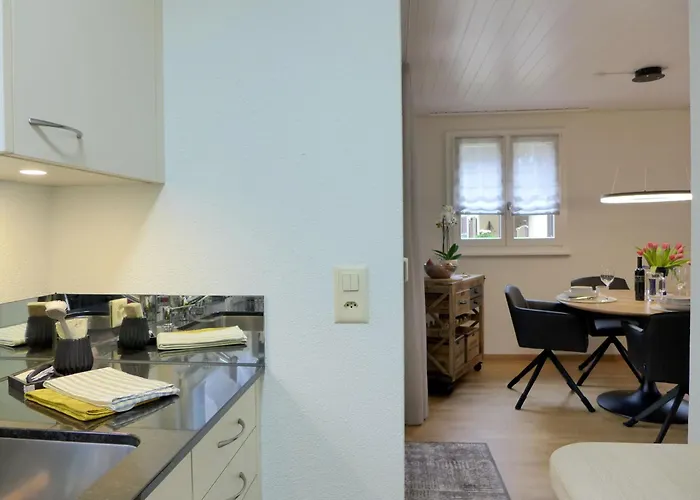 公寓 Beatrice Garden By Interhome 莱西根